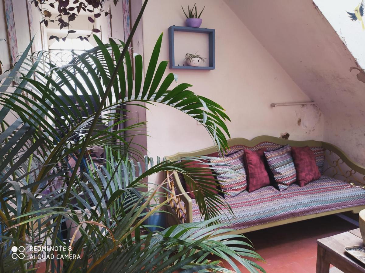 Casa Atenas (Adults Only) Guadalajara Ngoại thất bức ảnh