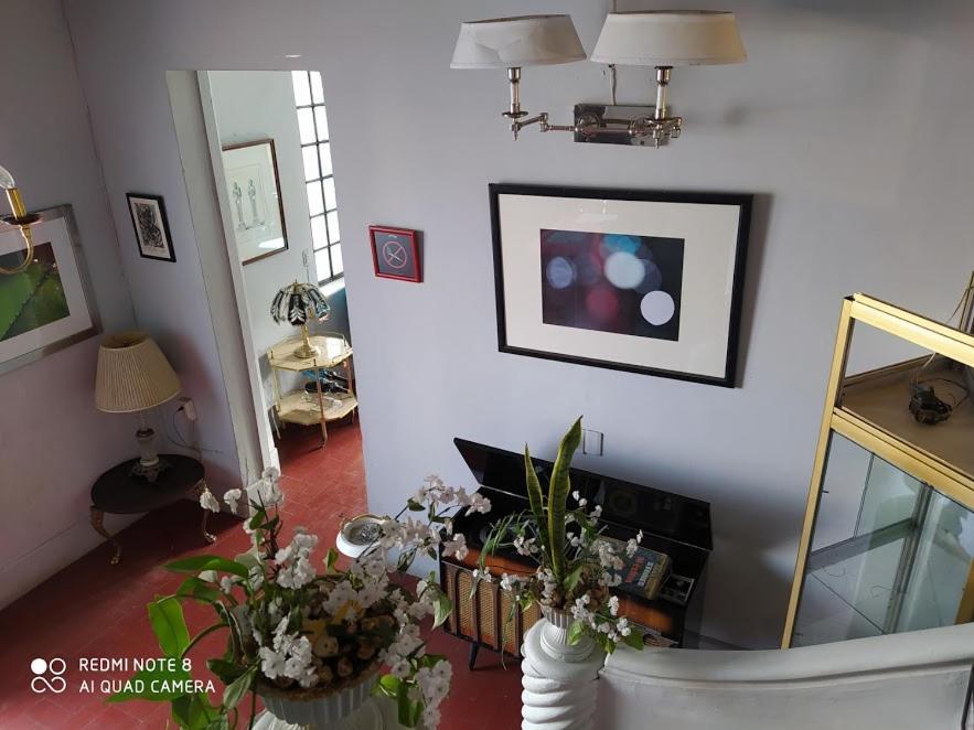 Casa Atenas (Adults Only) Guadalajara Ngoại thất bức ảnh